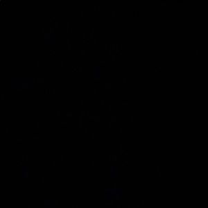 Meet your Posher, Diego